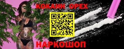 СК Шебекино