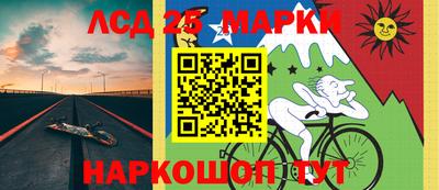 СК Шебекино