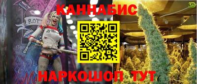 амф Шахты