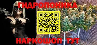 амф Шахты