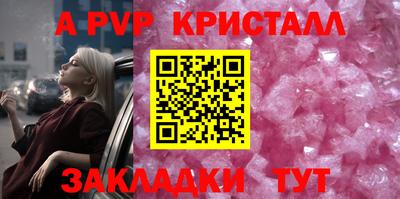 амф Шахты