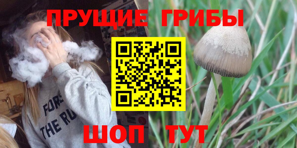 Стрежевой  дарнет шоп  Псилоцибиновые грибы Cubensis  Вход с VPN  Псилоцибиновые грибы Psilocybine cubensis 